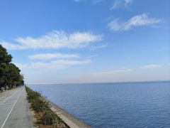 -贡湖湾湿地公园