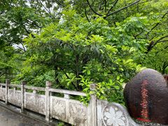 -石台牯牛降景区