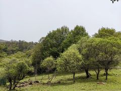 -大水川景区