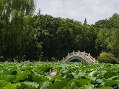 -莲池书院博物馆