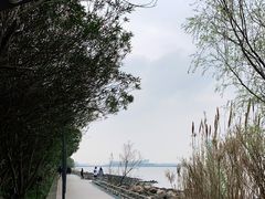 -上海吴淞炮台湾国家湿地公园