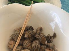 东风螺-御唐府海珊瑚主题餐厅