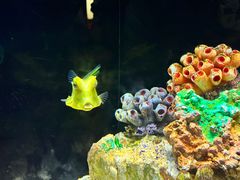 -上海海洋水族馆