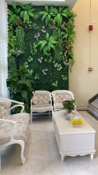 -苗医生草本科技祛痘