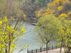 -九如山休闲旅游度假区