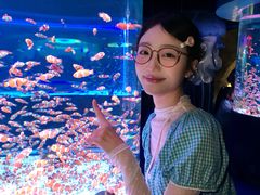 -海合安成都极地海洋公园