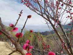 -天姥山景区