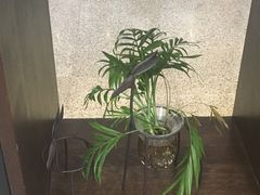 -桂桂茶(万嘉广场店)