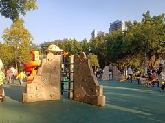 -飞来湖湿地公园