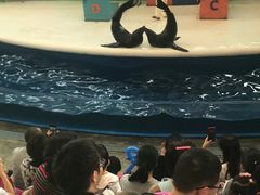 -成都浩海立方海洋公园