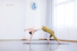 -亚太瑜伽普拉提学院