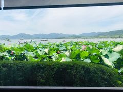 -湖畔居茶楼(湖滨店)