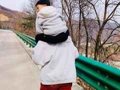 -青峰峡国家森林公园