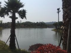 -枫香湖儿童公园