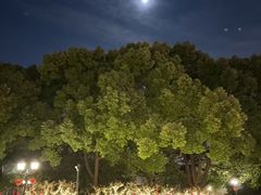 -上海虹桥迎宾馆