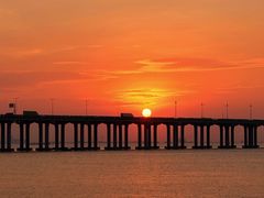 -宝安西湾红树林湿地公园