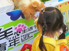 -七彩云南第壹城