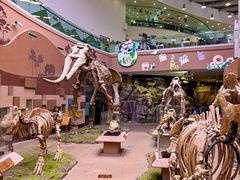 -陕西自然博物馆