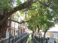-小洲村