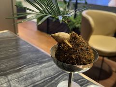 -THE WOODS 简餐 (国贸商城店)