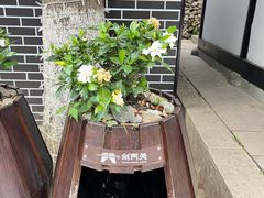 -剑门关风景区