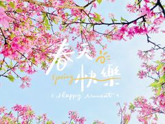 -天适樱花悠乐园