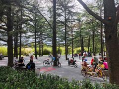 -莱西月湖公园