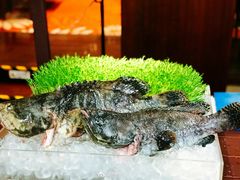 -昆明华邑酒店-鲜艳全日餐厅