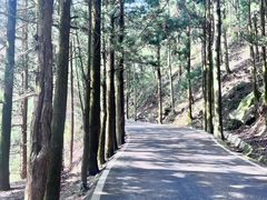 -南岳衡山风景名胜区