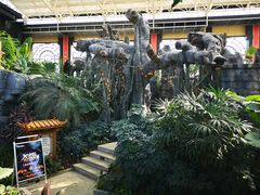 -郑州银基黄帝宫御温泉