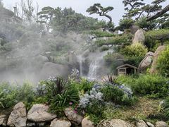 -罗红摄影艺术馆