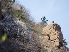 -崂山九水游览区