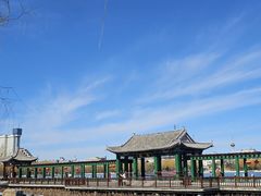 -莲花池公园