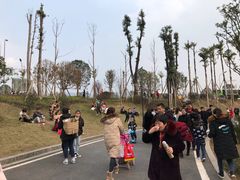 -枫香湖儿童公园