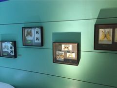 iphone_upload_pic-上海昆虫博物馆