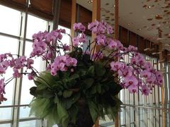 android_upload_pic-视界美食自助餐厅·石家庄希尔顿酒店