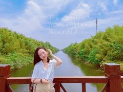 -黄海国家森林公园