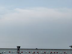 -碧海金沙
