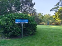 -上海滨江森林公园