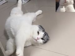 -美迦爱-牙专科·兔科·骨科诊疗中心(北苑店)