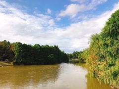 -上海海湾国家森林公园