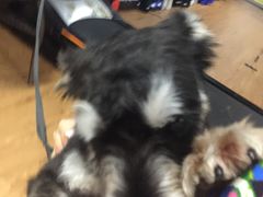 -拳盛时代拳击俱乐部(北京路店)