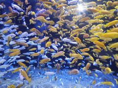 -成都浩海立方海洋公园