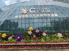 -花之城
