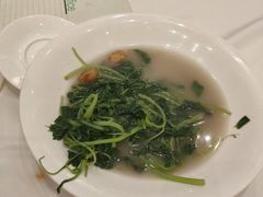上汤苋菜-御彩酒家(东风东路店)