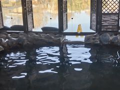 -春晖园度假酒店温泉