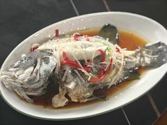 -坛南湾阿强农家乐.海鲜大排档老字号(福州地标美食店)