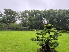 -申粤轩酒楼·三十年粤菜经典(丁香花园店)