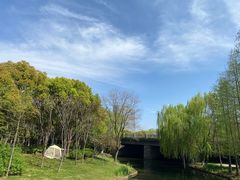 -巡塘古镇