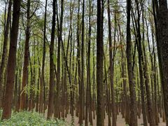 -共青国家森林公园-售票处